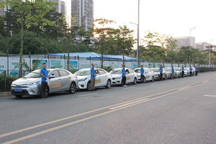 龍翔專業汽車陪駕 全方位服務，助您安全駕駛上路