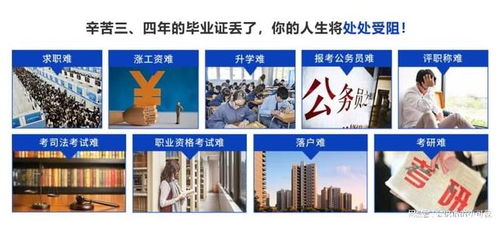2025年北京檔案存放服務(wù)指南 升職貓全程跟進(jìn)，助力信息咨詢(xún)