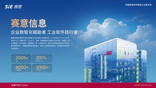 賽意信息入選2024行業軟件企業活力與服務力Top30，彰顯北京信息技術咨詢服務實力